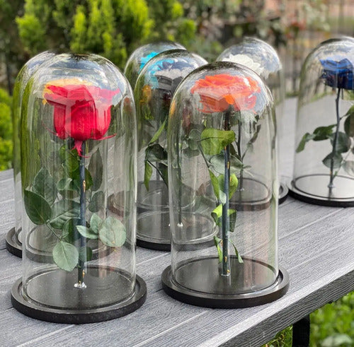 Rosa Preservada Cúpula Vidrio Caja Regalo Color Azul Oscuro Azul Oscuro