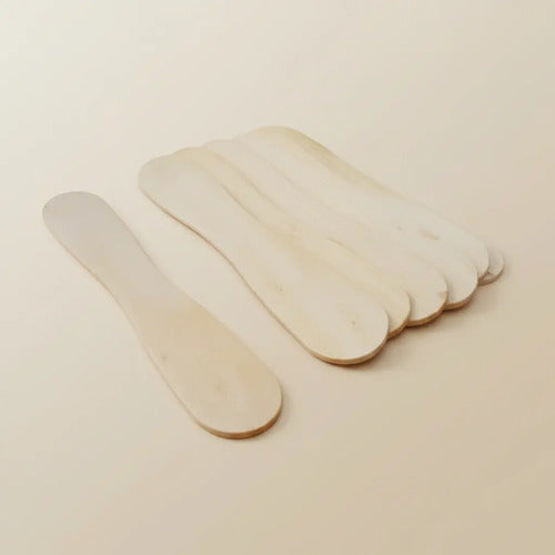 Palo Paleta Desechable Madera Degustaciones 7.5cm X 200 Pcs