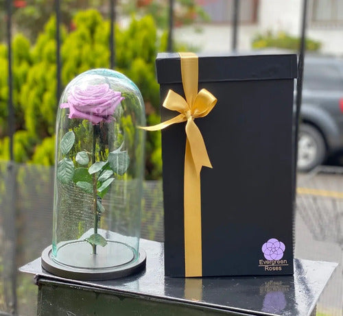 Rosa Preservada Cúpula Vidrio Caja Regalo Color Lila Lila