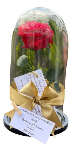 Rosa Preservada Regalo Cúpula Vidrio Color Rojo Rojo
