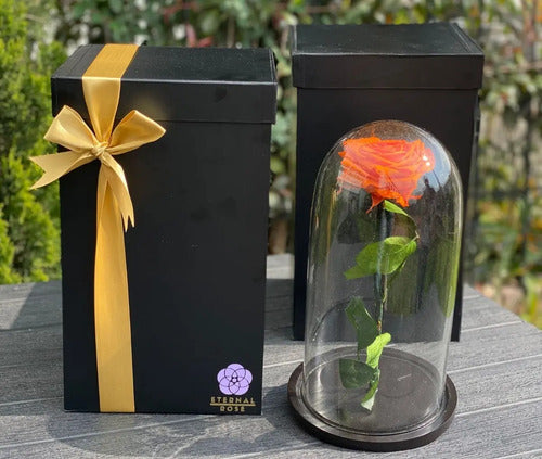 Rosa Preservada Cúpula Vidrio Y Caja Regalo  Segun Disponibilidad