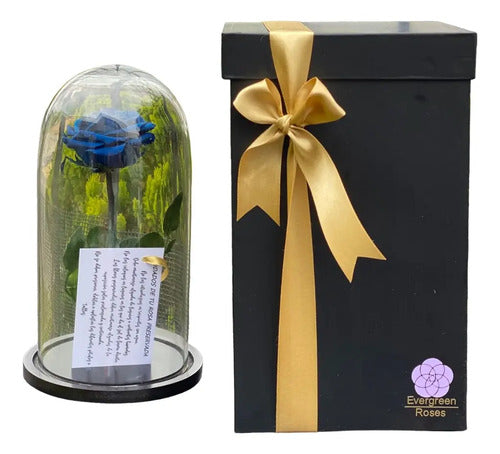 Rosa Preservada Cúpula Vidrio Caja Regalo Color Azul Oscuro Azul Oscuro