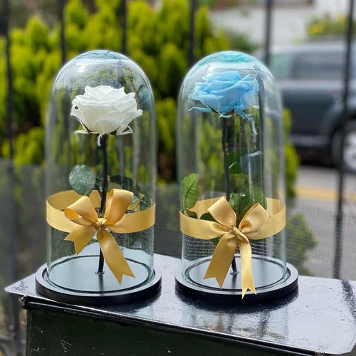 Rosa Preservada Cúpula Vidrio  A Eleccion Rosa