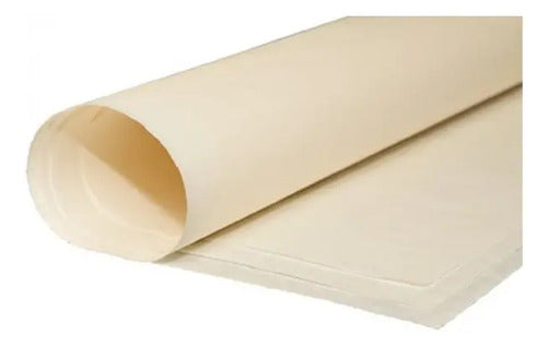 Papel Periódico Pliegos X 100 Unidades  Beige