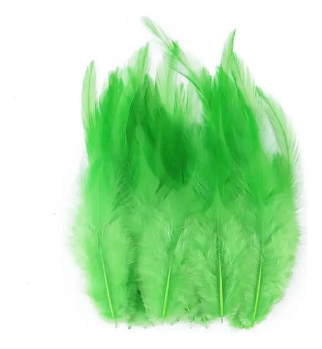 Plumas Decorativas Artificiales Verde Biche Paquete X 100 Verde Biche