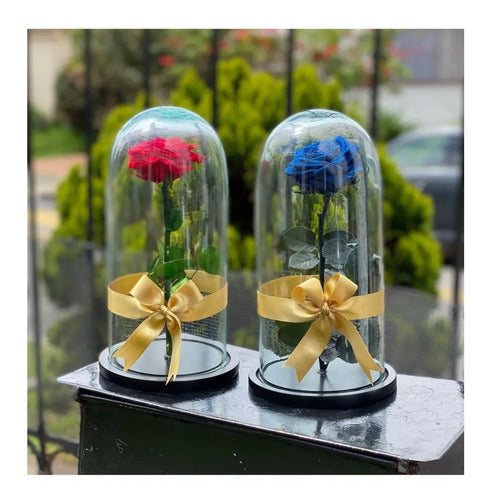 Rosa Preservada Cúpula Vidrio  A Eleccion Rosa