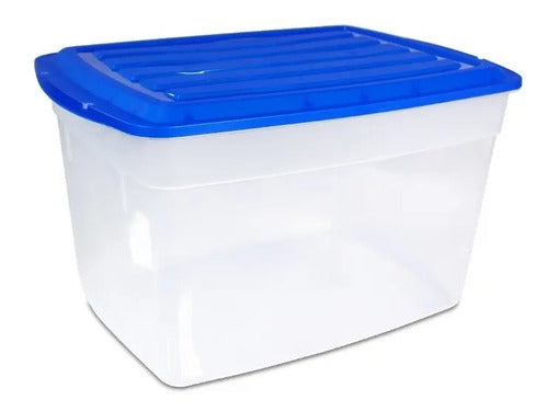 Caja Organizadora Plástica Con Tapa 14 Lt - 30 X 19 X 20 Cm Transparente