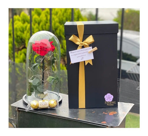 Rosa Preservada Cúpula Vidrio Caja Regalo Dia De La Mujer Rojo