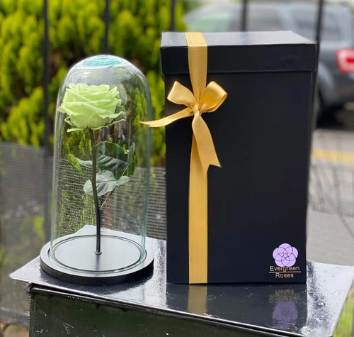 Rosa Preservada Cúpula Vidrio Caja Regalo Color Verde Menta Verde Menta