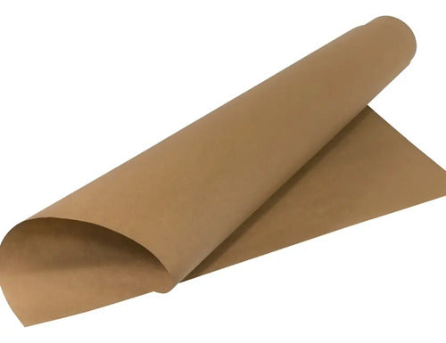 Papel Kraft Pliego 90gr X 100 Unidades
