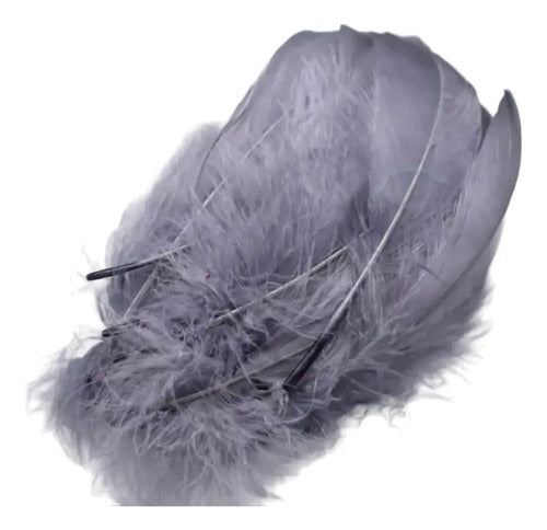 Plumas Decorativas Artificiales Color Gris Paquete X 20