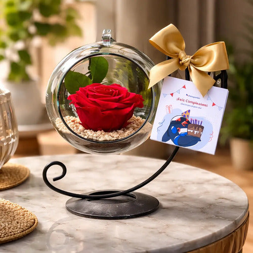 Rosa Preservada Rojo Regalo Soporte + Burbuja De Cristal Rojo