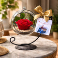 Rosa Preservada Rojo Regalo Soporte + Burbuja De Cristal Rojo