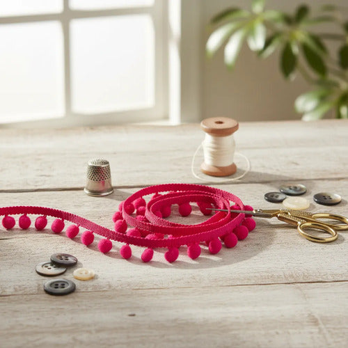 Cinta Bordada Con Pompones Fucsia X 25 Mts Fucsia