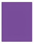 Cartulina Iris Color Morado 1/2 Pliego X 5 Hojas Morado