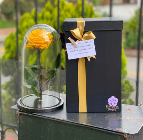 Rosa Preservada Cúpula Vidrio Y Caja Regalo Color Amarilla Amarillo