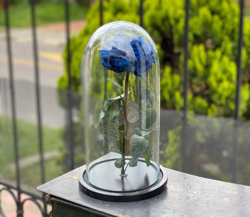 Rosa Preservada Regalo Cúpula Vidrio Color Azul Oscuro Azul Oscuro