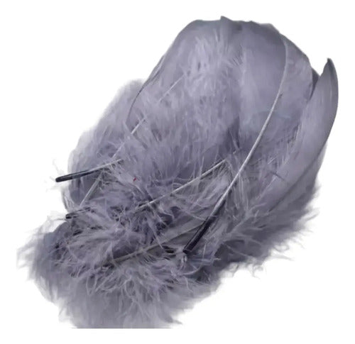 Plumas Decorativas Artificiales Color Gris Paquete X 100 Gris