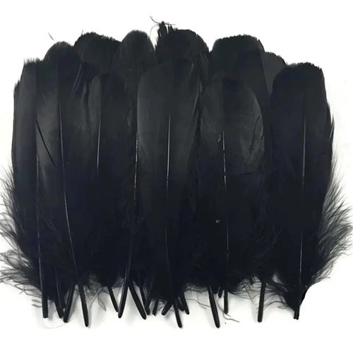 Plumas Decorativas Artificiales Color Negro Paquete X 100 Negro