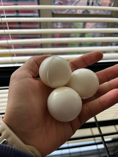 Pelotas De Ping Pong Color Blanco X 100 Unidades Blanco