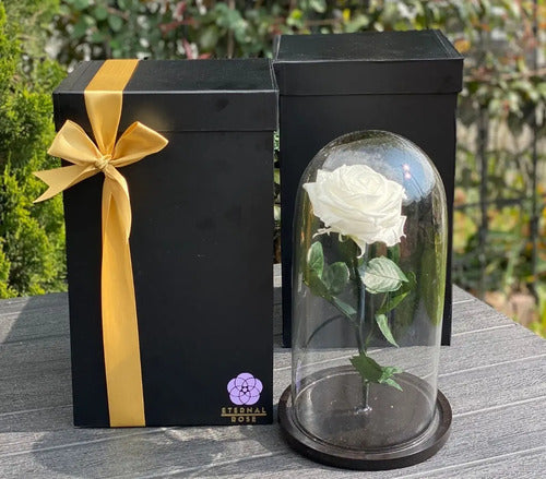 Rosa Preservada Cúpula Vidrio Y Caja Regalo  Segun Disponibilidad