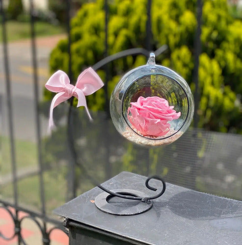 Rosa Preservada Rosada Regalo Soporte + Burbuja De Cristal Rosado