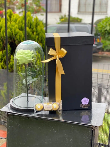 Rosa Preservada Cúpula Vidrio Ferrero Caja Regalo Led Verde Verde Lima