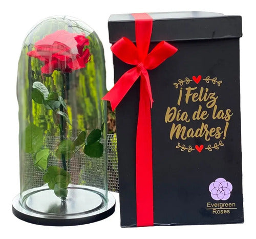 Rosa Preservada Regalo Cúpula Vidrio Rojo Dia De La Madre  Rojo