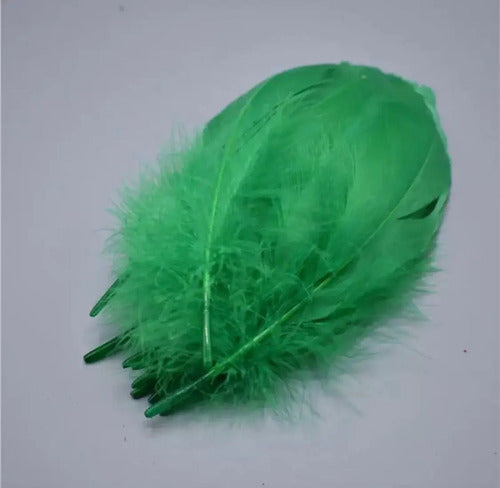 Plumas Decorativas Artificiales Color Verde Paquete X 20