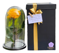 Rosa Preservada Cúpula Vidrio Y Caja Regalo Color Amarilla Amarillo