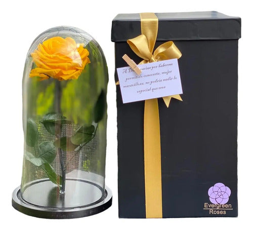Rosa Preservada Cúpula Vidrio Y Caja Regalo Color Amarilla Amarillo