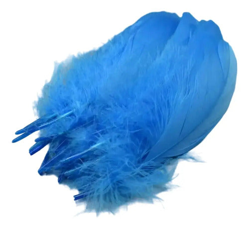 Plumas Decorativas Artificiales Azul Claro Paquete X 20