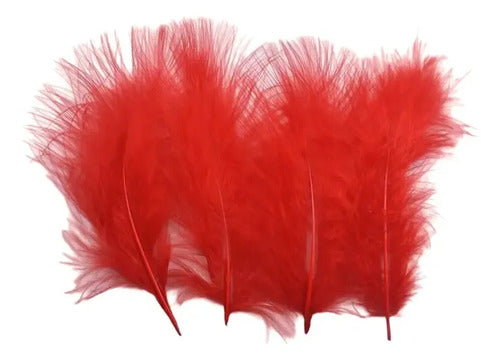 Plumas Decorativas Artificiales Color Rojo Paquete X 100 Rojo