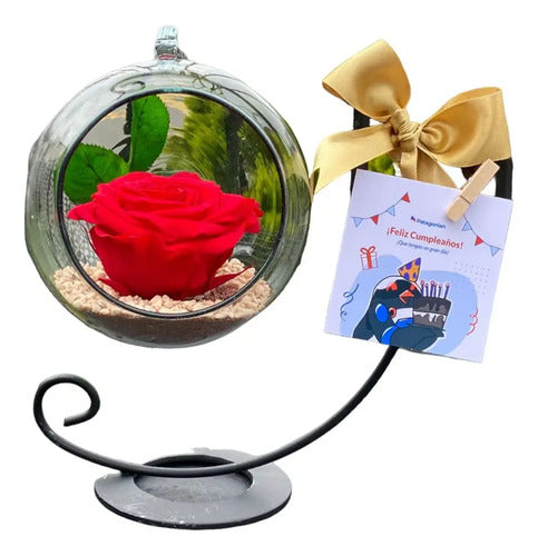 Rosa Preservada Rojo Regalo Soporte + Burbuja De Cristal Rojo