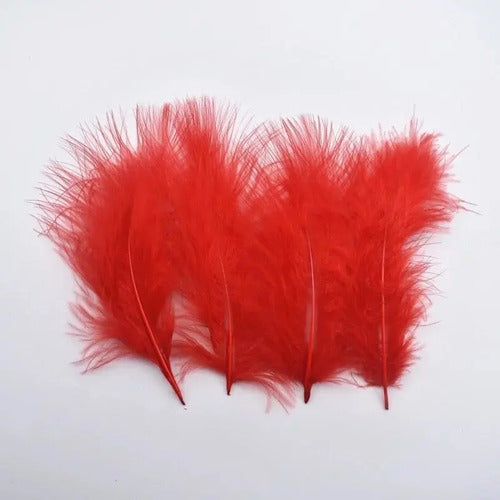 Plumas Decorativas Artificiales Color Rojo Paquete X 20