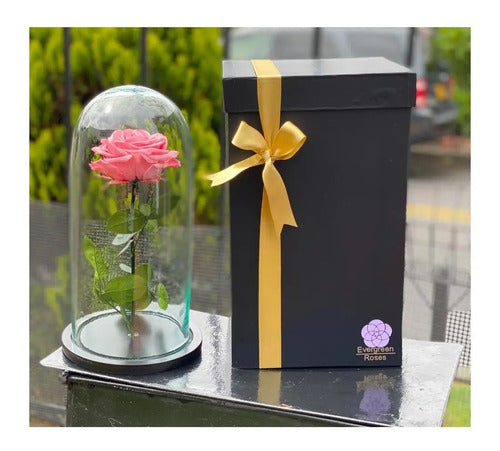 Rosa Preservada Cúpula Vidrio Caja Regalo Color Rosado Rosado