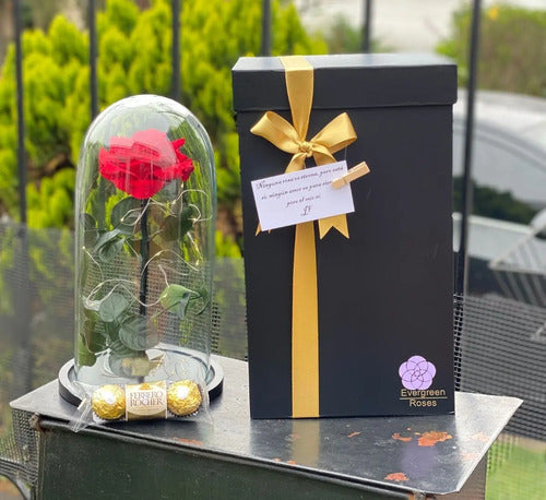 Rosa Preservada Cúpula Vidrio Caja Regalo Dia De La Mujer Rojo