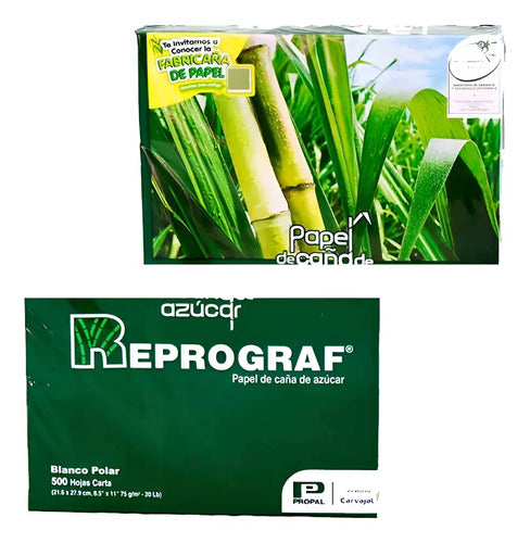 Resma De Papel Reprograft Media Carta X 1.000 Pcs Blanco