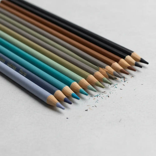 Colores Tierra X 12 Penmax Tierra